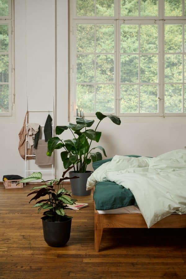 Bettwäsche aus Bio-Baumwolle von lavie. Nachhaltige Bettbezüge aus Bio-Baumwolle in dunkelgrün und sage grün